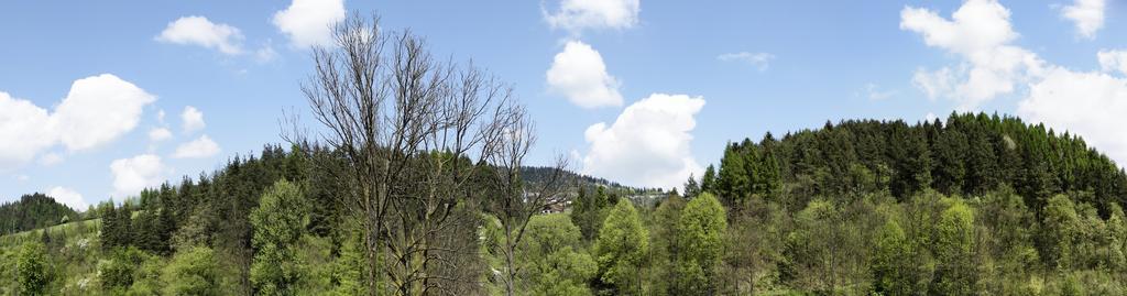 Agroturystyka Chmiel Sromowce Wyzne Exterior foto